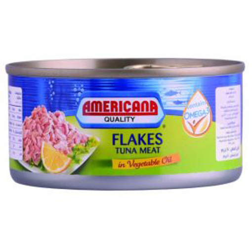 Picture of Americana Tuna Chunks 170 gm