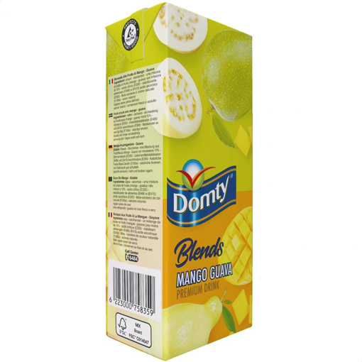 Picture of Domty Mango Guava Premium Drink 235ml