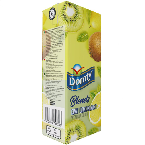 Picture of Domty Kiwi Lemon Mint Premium Drink 235ml
