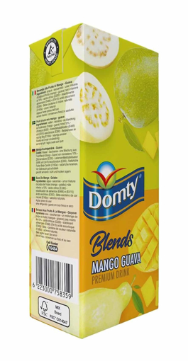 Picture of Domty Blends Mango And Guava Juice 1 ltr