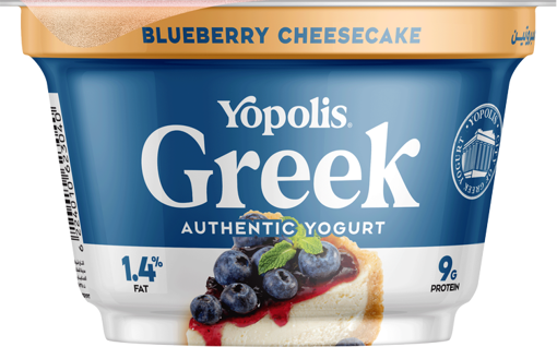 Picture of Yopolis Greek Yogurt Blueberry Cheesecack 150gm