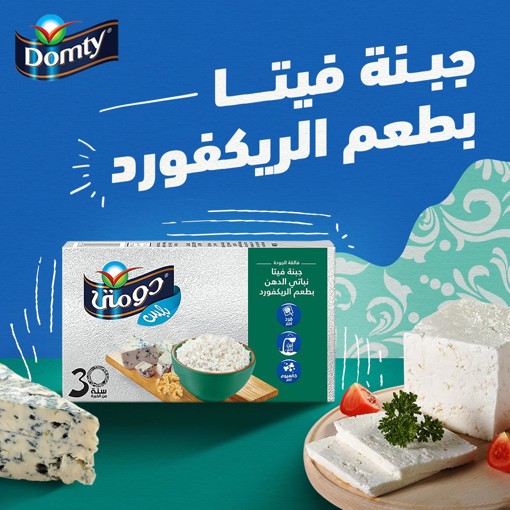 Picture of Domty Plus Feta Cheese With Blue Cheese 500gm