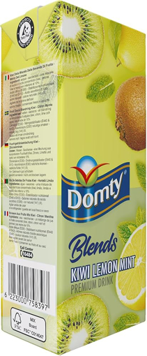 Picture of Domty Blends Kiwi Lemon Mint Drink 1 L