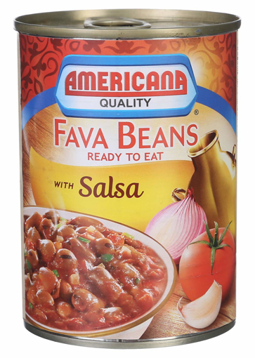 Picture of Americana Fava Beans With Sauce 400 gm