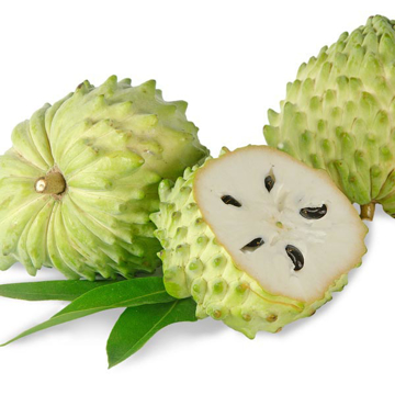 Picture of Annona kg