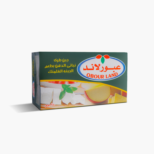 Picture of Obour Land Feta Cheese With Flamank 250 gm