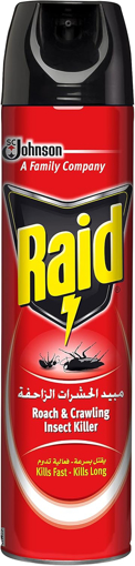 Picture of Raid Cockroach & Ant Killer 400 ml