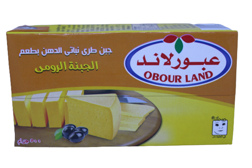 Picture of Obour Land Soft Cheese with Roumy 500 gm
