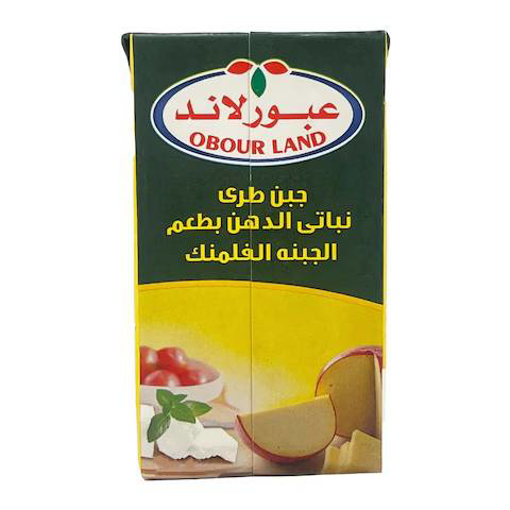 Picture of Obour Land Feta Cheese With Flamank 500 gm
