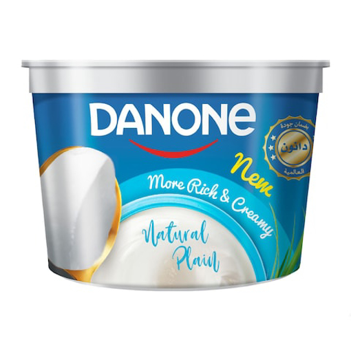 Picture of Danone Diesny Yogurt Large 170 gm
